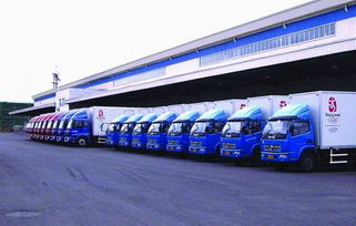 顺德乐从至樟溪镇货运物流一站式服务 配送、安装、商检、报关全流程解析